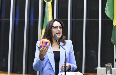 Kit de absorventes é levado ao Congresso e deputada exalta ação do Piauí
